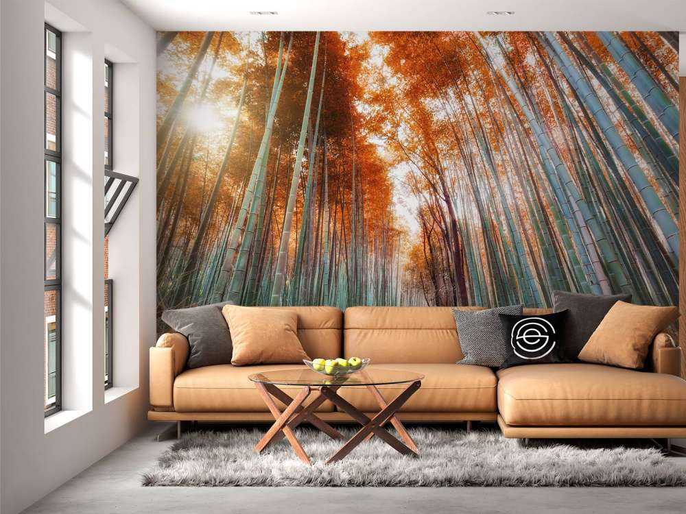 Forêt de bambou d'automne