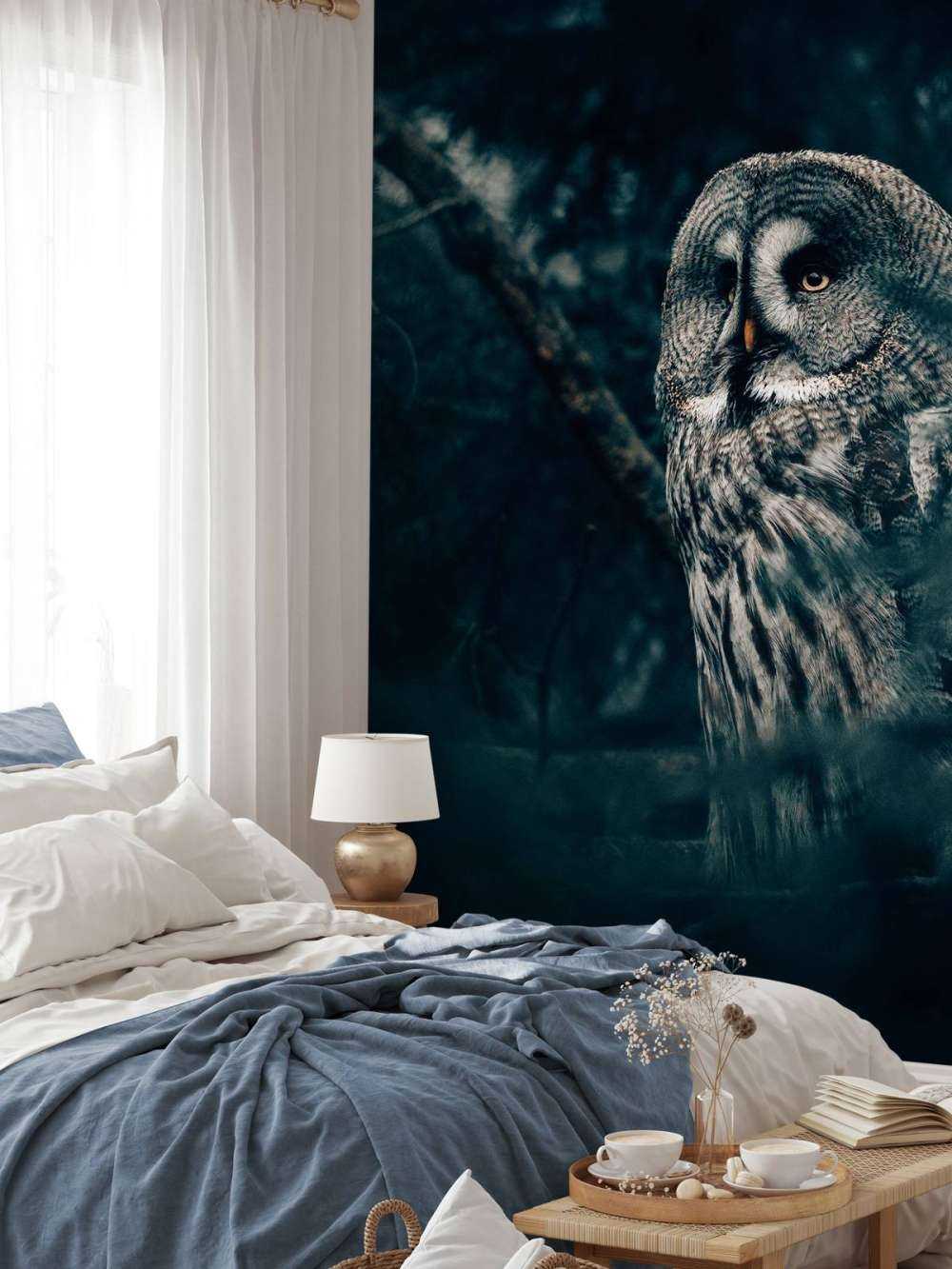 Hibou dans l'arbre