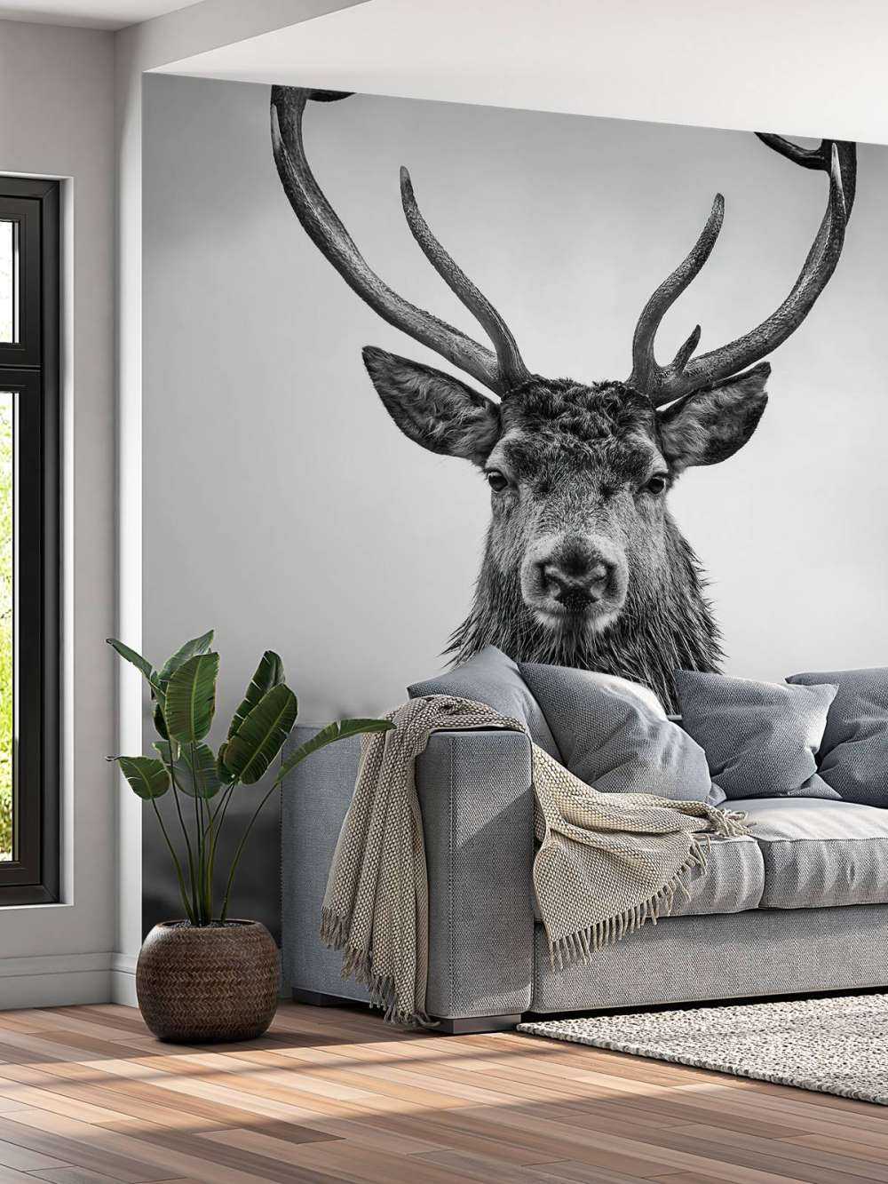 Gros cerf