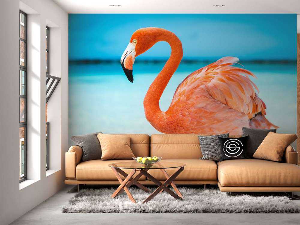 Flamant tropical
