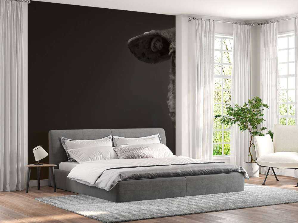 Gros plan sur un mouton noir et blanc