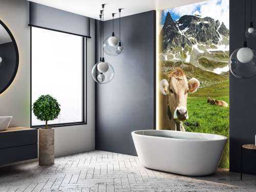 Vache autrichienne
