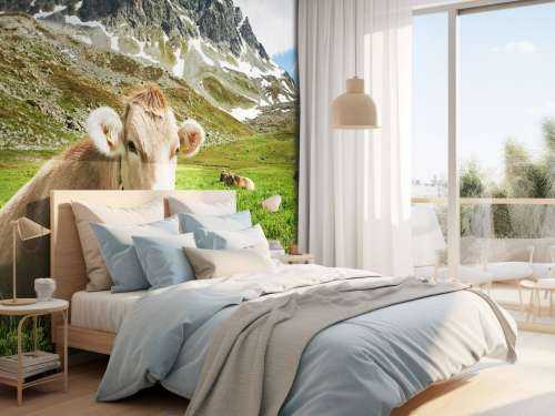 Vache autrichienne