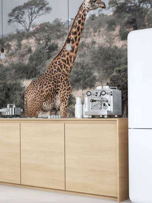 Portrait de girafe