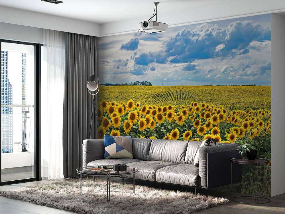 Une prairie pleine de tournesols