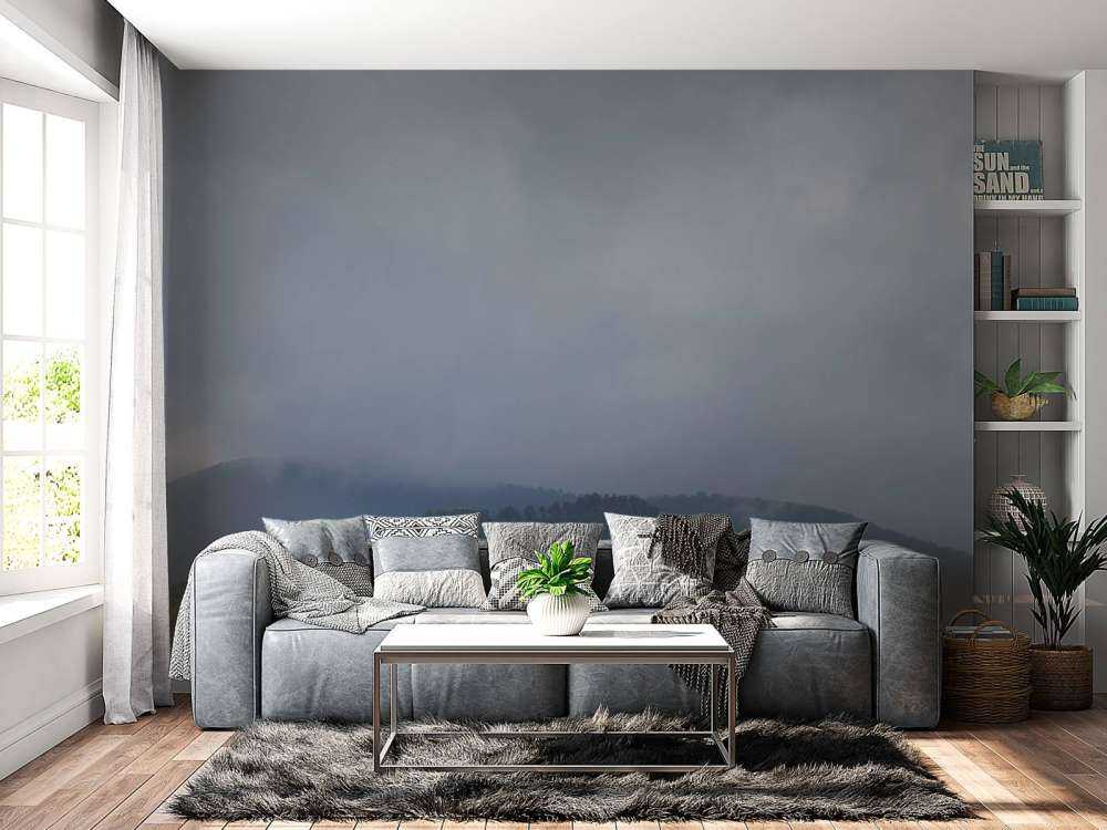 Nuages au-dessus des arbres dans les montagnes