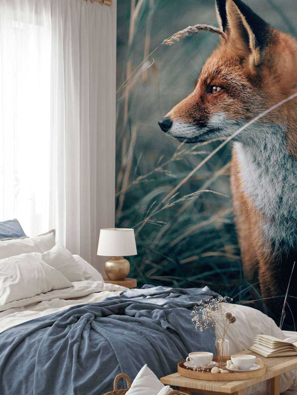 Renard dans les dunes