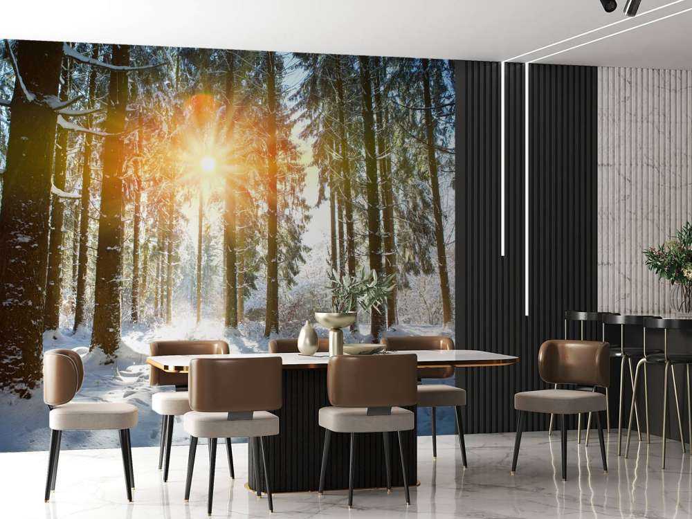 Lumière du soleil dans une forêt d'hiver