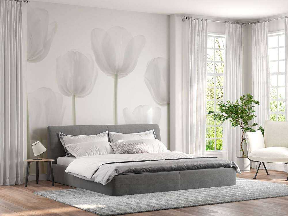 Tulipes blanches