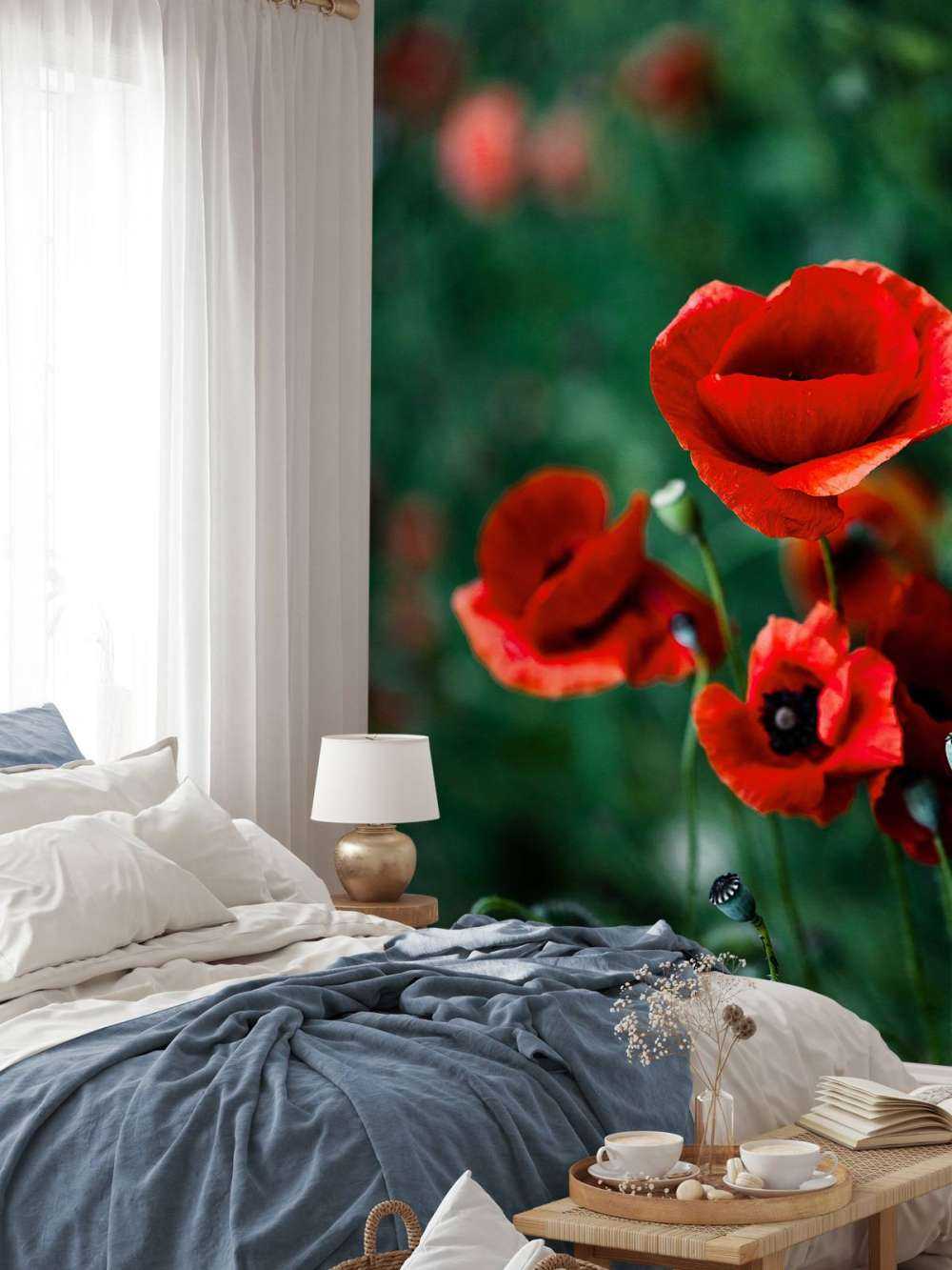 Coquelicots et herbe