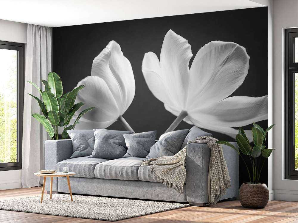 Tulipes croisées