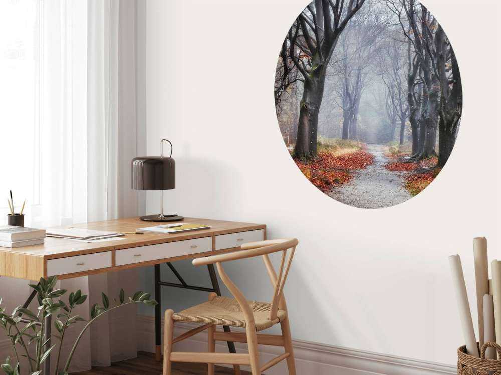 Les arbres de la forêt