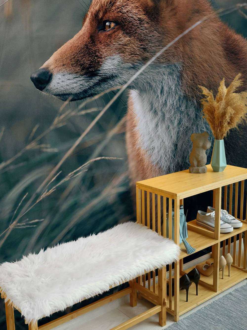 Renard dans les dunes