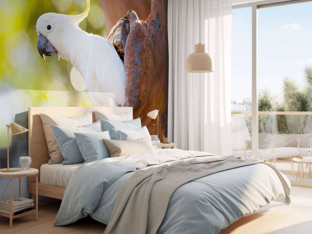 Cacatoès dans la cavité d'un arbre