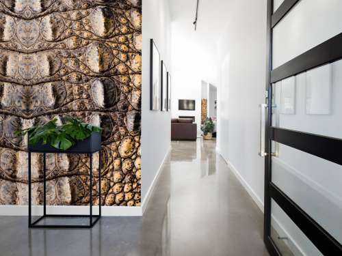 Texture crocodile