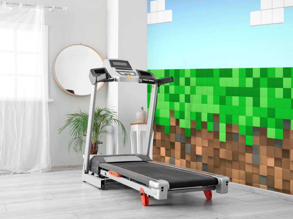 Paysage de Minecraft
