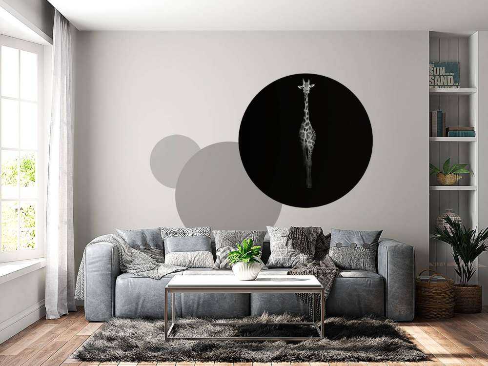Girafe en noir et blanc