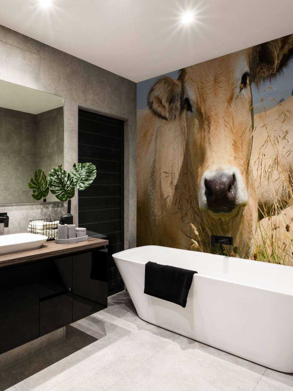 Vache à cornes