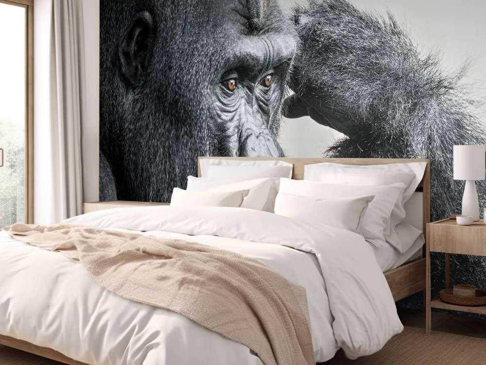 Gorille noir et blanc