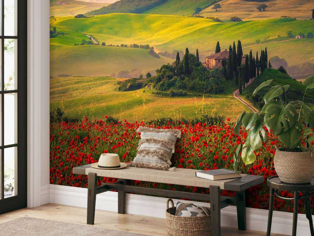 Des coquelicots rouges avec un paysage italien