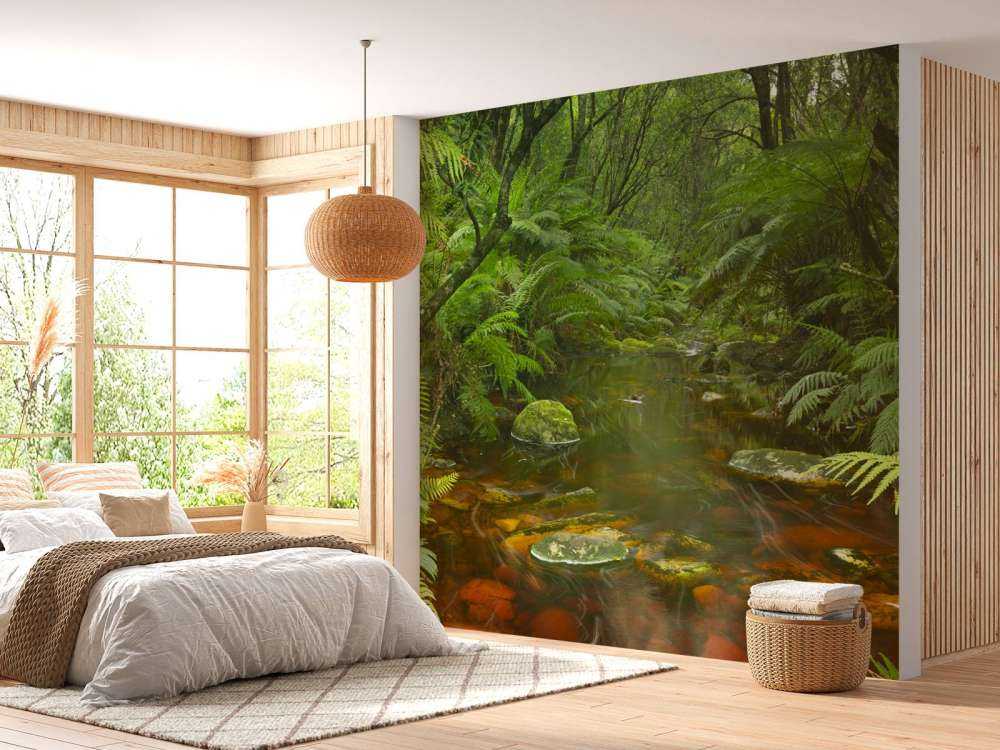 Rivière dans la forêt tropicale