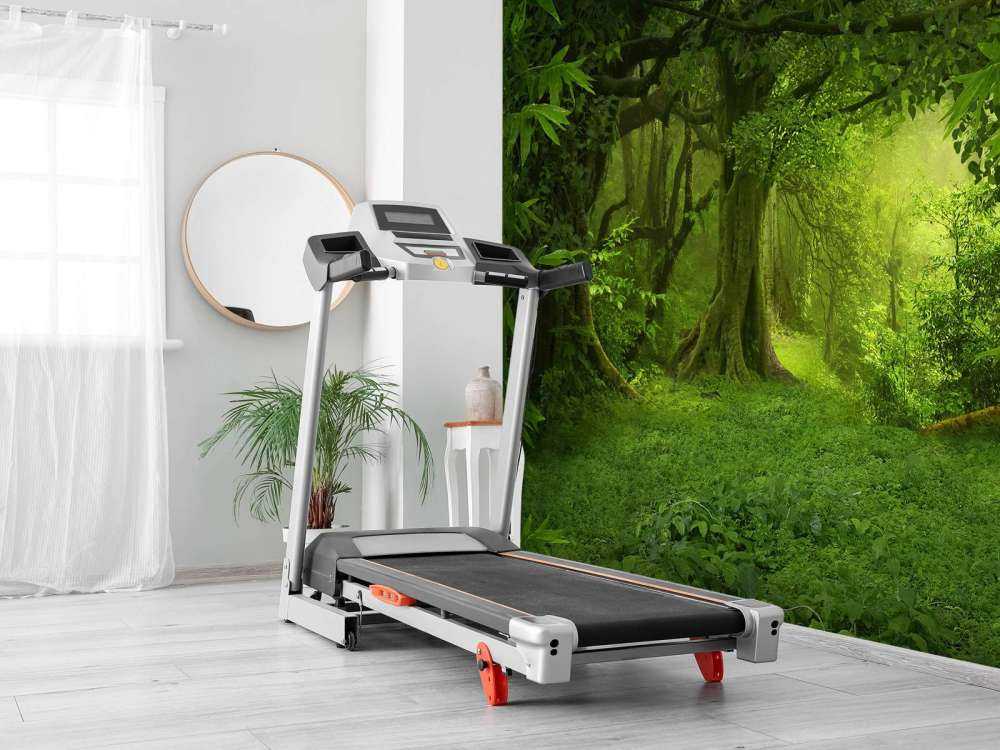 Jungle tropicale