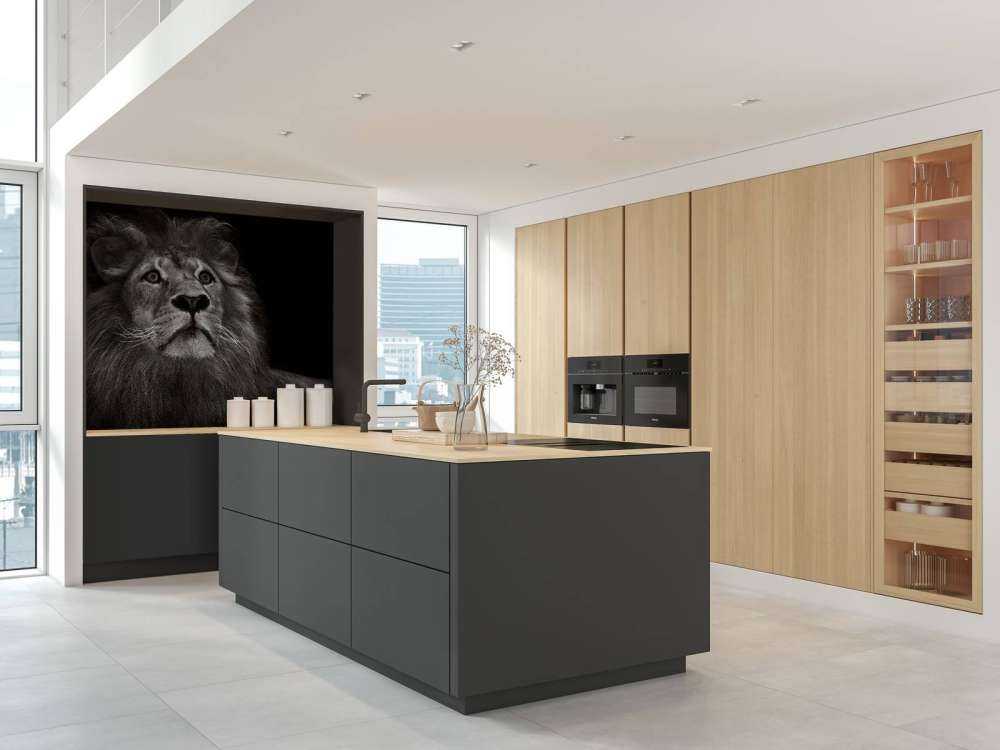 Lion sur fond noir
