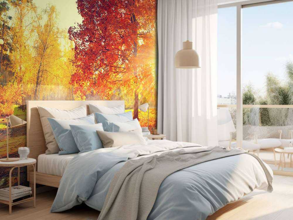 Arbres d'automne au soleil