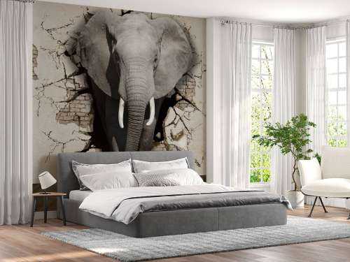 L'éléphant en 3D depuis le mur