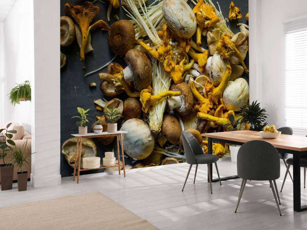 Différents champignons