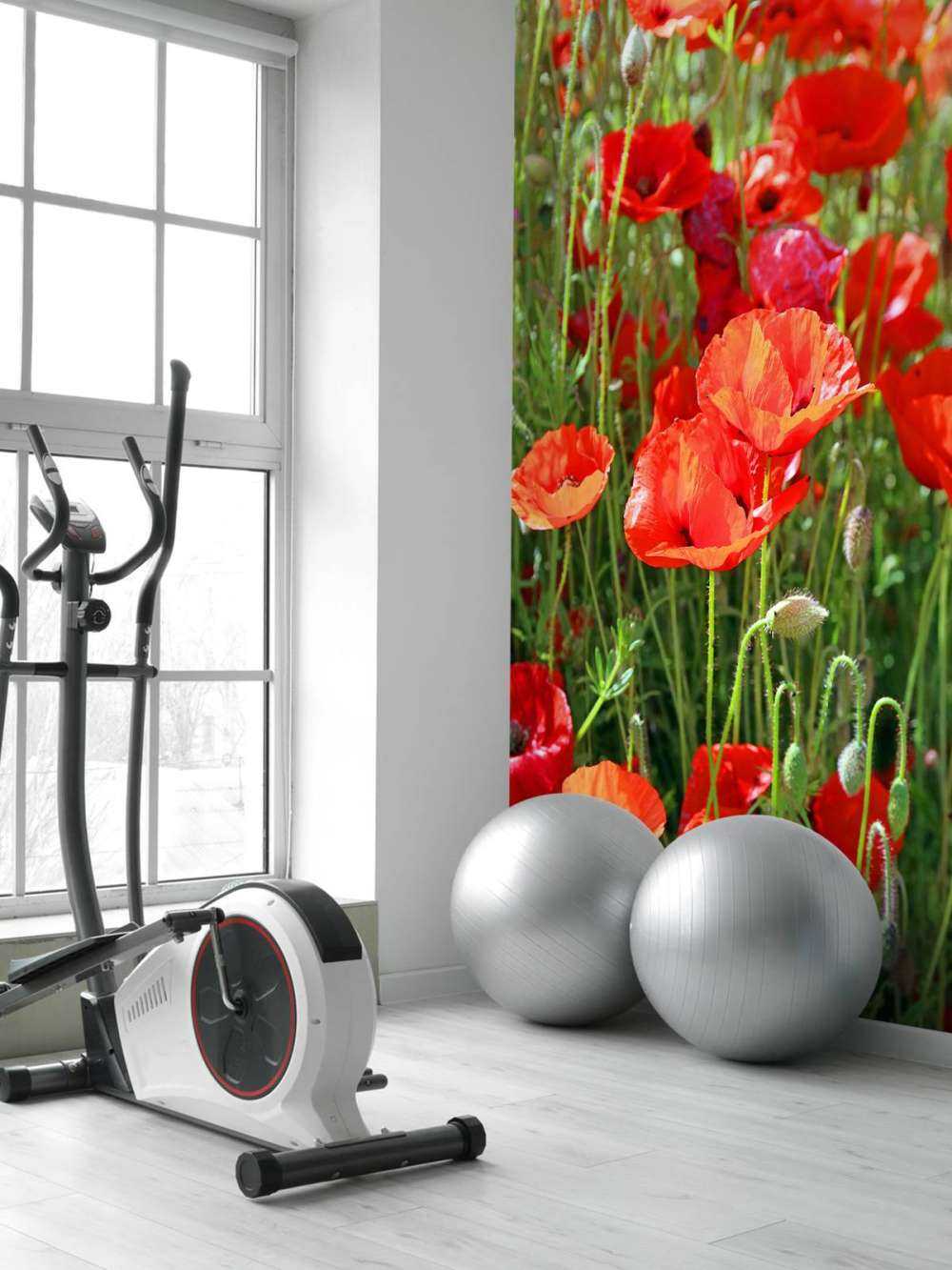 Gros plan sur des coquelicots