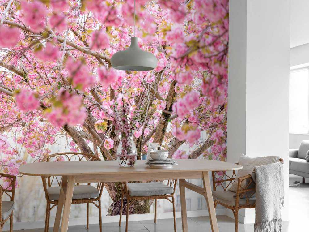 Arbre en fleurs