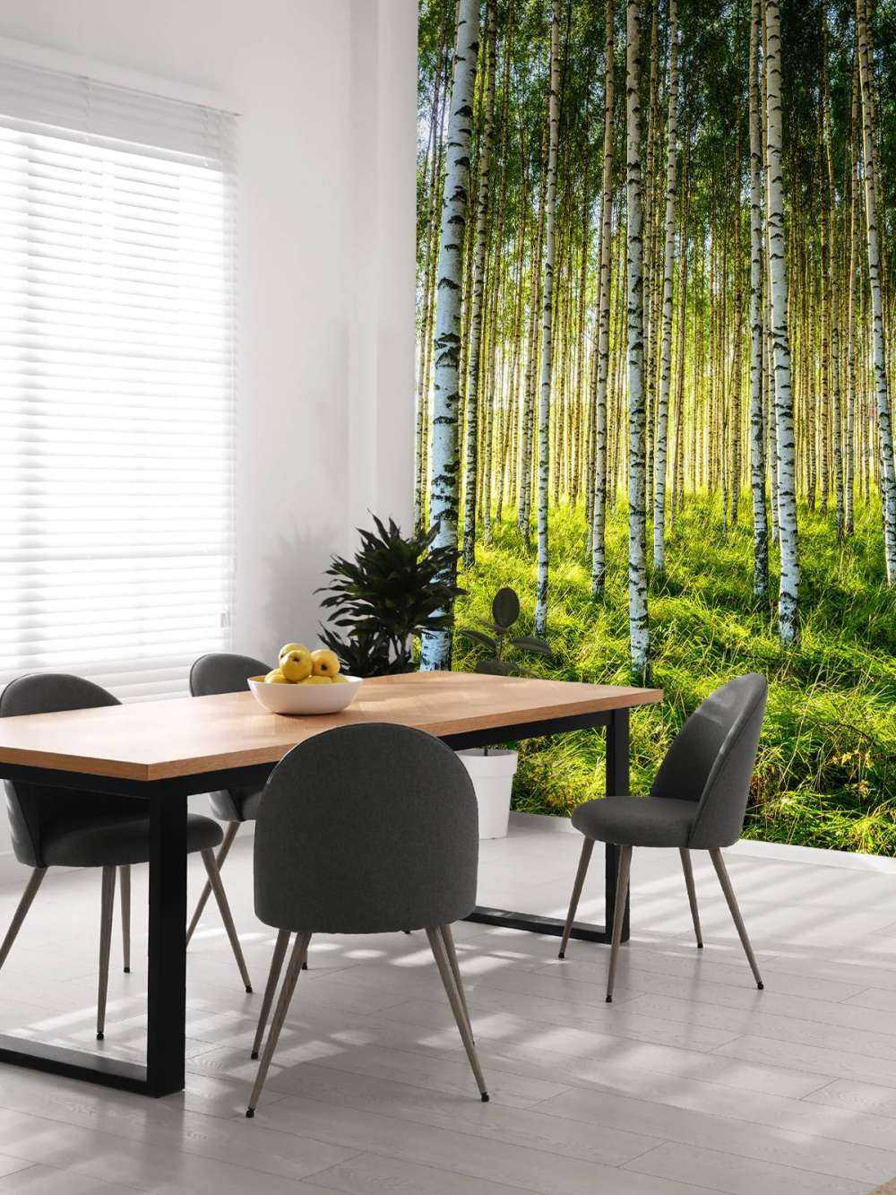 Forêt de bouleaux d'été
