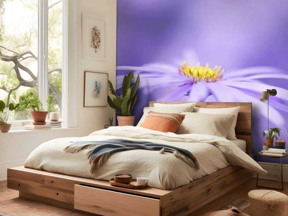 Marguerites violettes