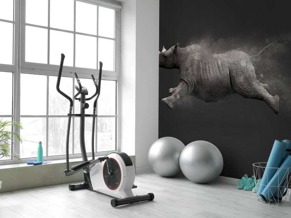 Rhinocéros sauteur