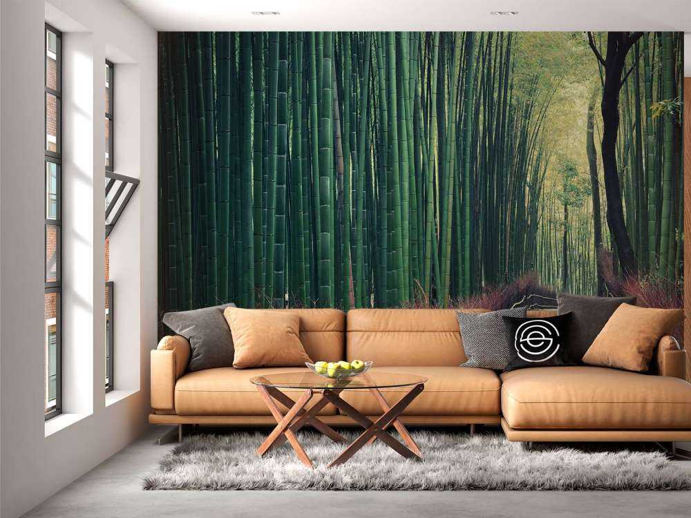 Forêt de bambous