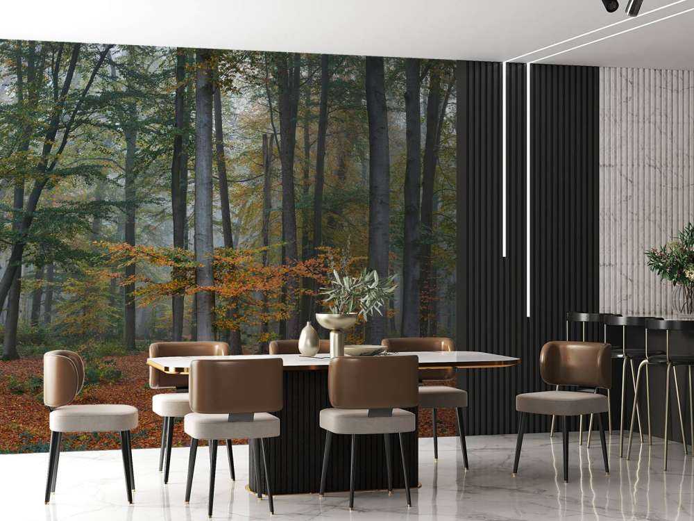 Couleurs d'automne dans une forêt brumeuse