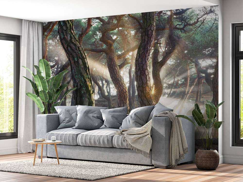 Sacred Pine Trees
