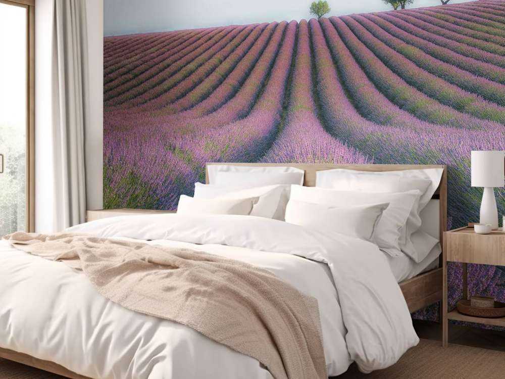 Velours de Lavender