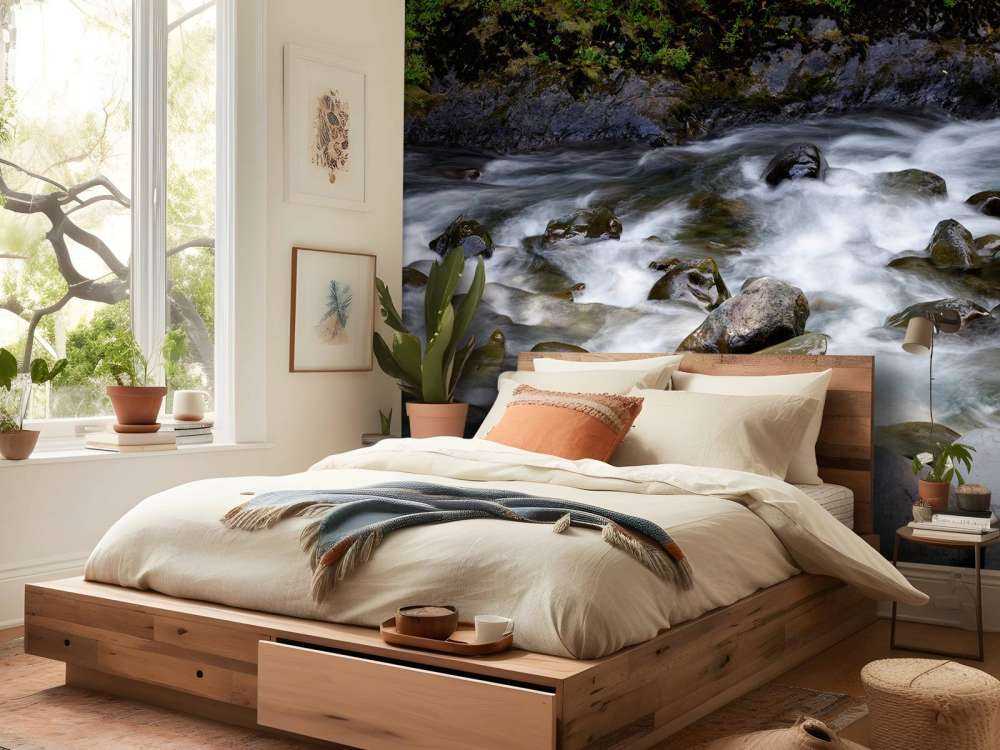 Rivière avec rochers