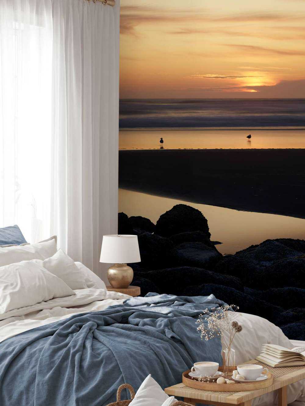 Oiseaux au coucher du soleil