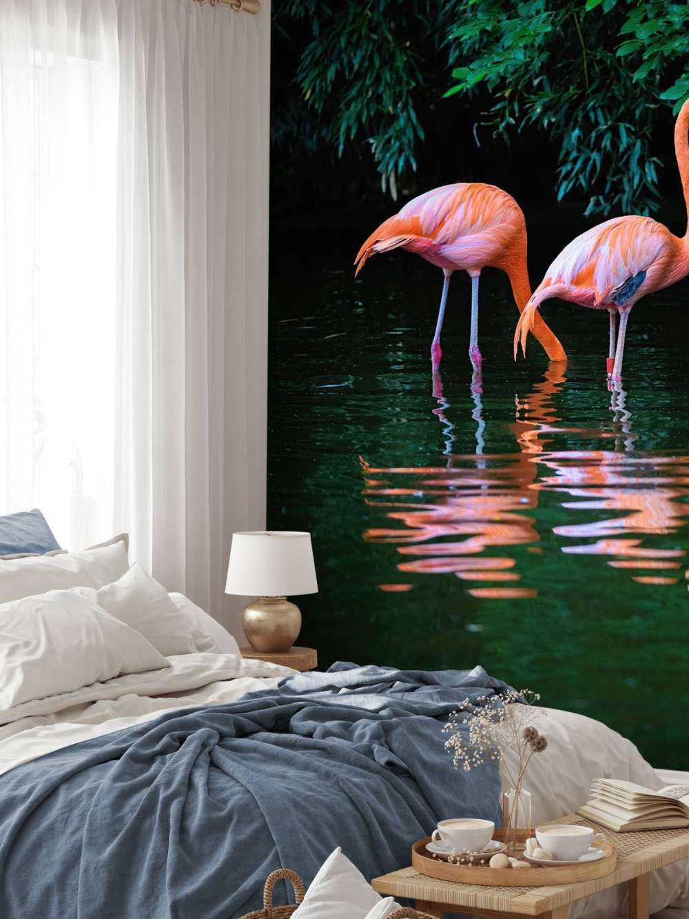 Deux flamants des Caraïbes