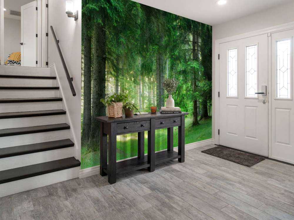 Forêt de conifères verts