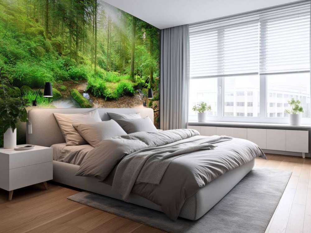 Paysage forestier enchanteur