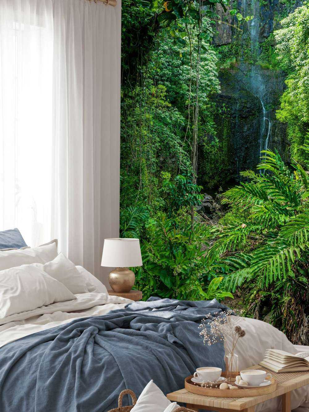 Jungle et pierres