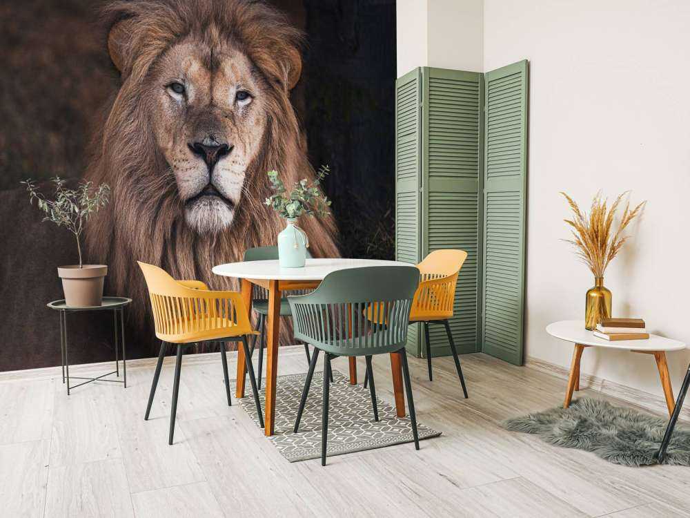 Portrait d'un lion
