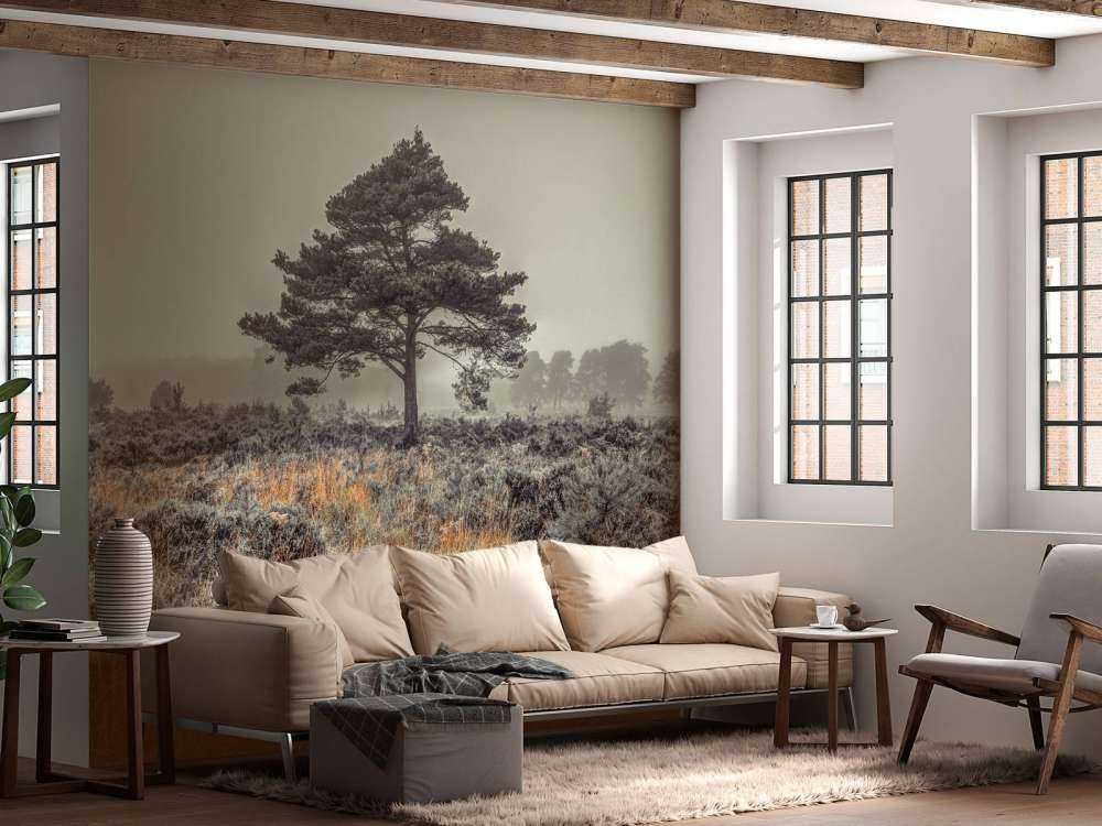 Arbre à la campagne
