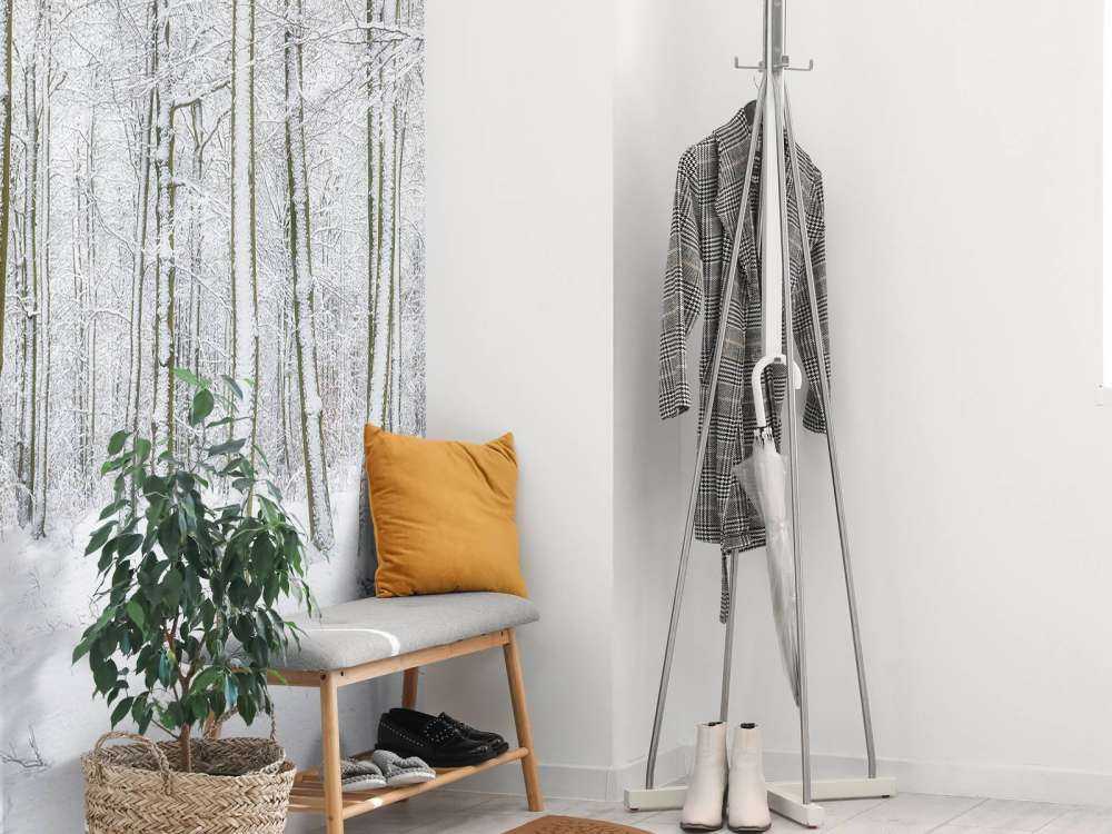 Forêt avec neige