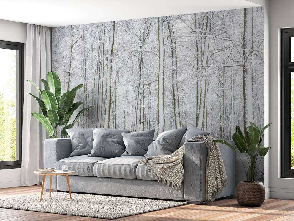 Forêt avec neige