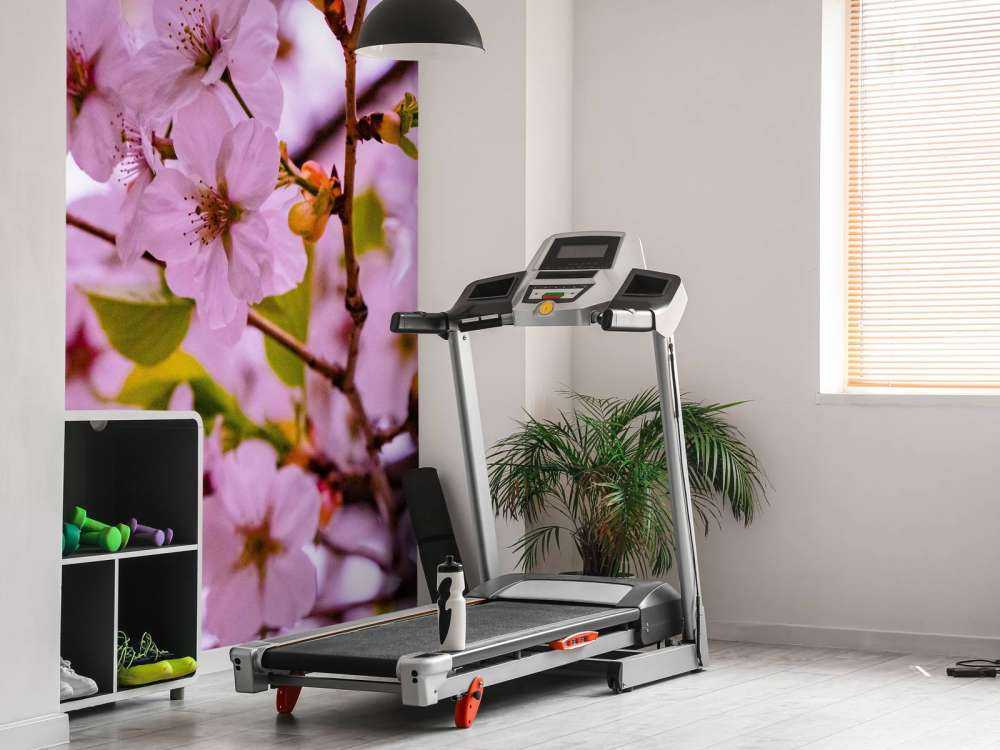 Fleurs roses avec pétales